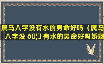 属马八字没有水的男命好吗（属马八字没 🦟 有水的男命好吗婚姻如何）